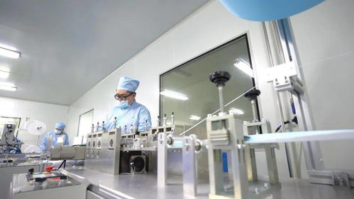 潮起千帆競(jìng) 迎風(fēng)再起航